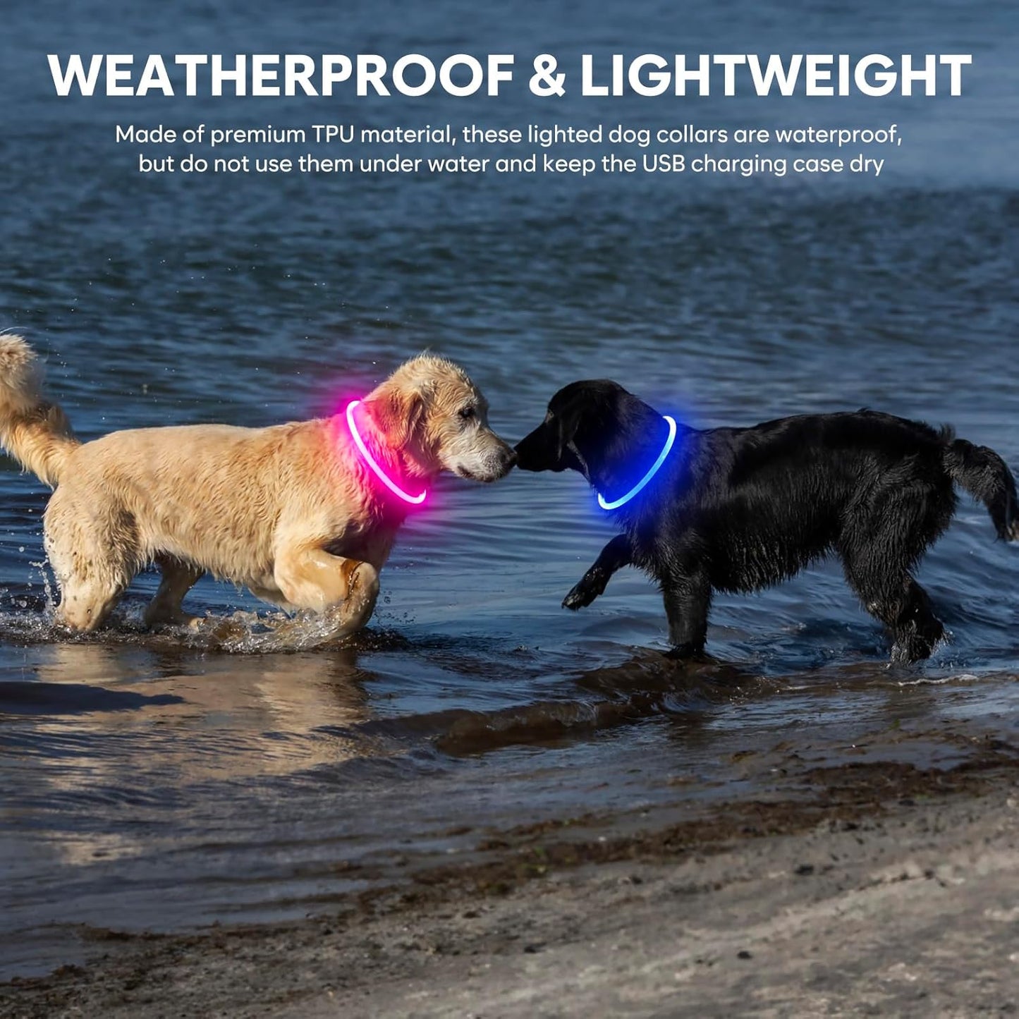 Light up LED Dog Collar - USB Rechargeable, Waterproof, TPU Safety Collar for Night Walks (Adjustable for All Dog Sizes)