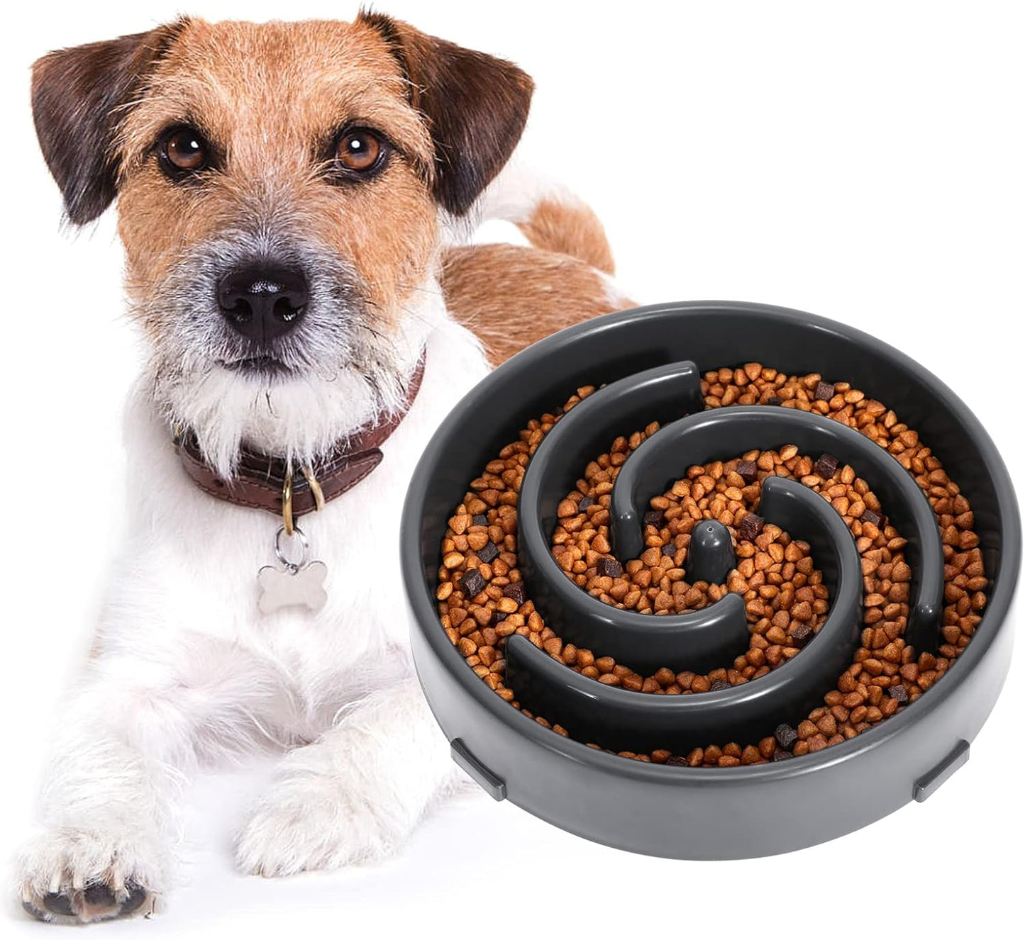 Slow Feeder Dog Bowl - Non-Slip Maze Design for Small, Medium & Large Dogs (Promotes Healthy Eating, Prevents Bloatin & Choking, Interactive Puzzle Feeder) 