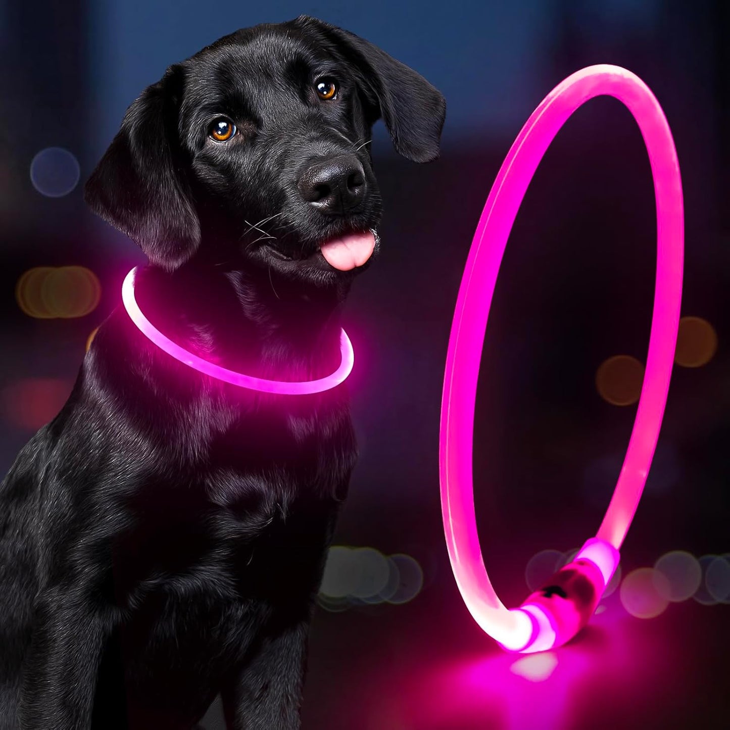 Light up LED Dog Collar - USB Rechargeable, Waterproof, TPU Safety Collar for Night Walks (Adjustable for All Dog Sizes)