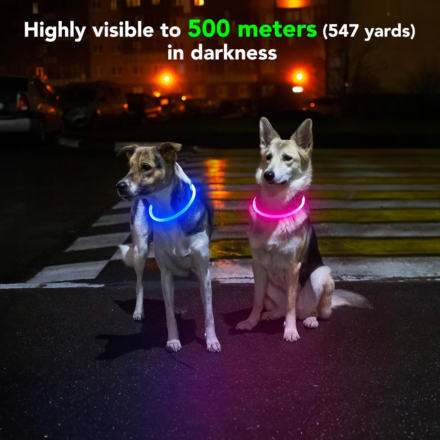 Light up LED Dog Collar - USB Rechargeable, Waterproof, TPU Safety Collar for Night Walks (Adjustable for All Dog Sizes)